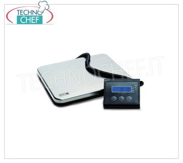 escalas electronicas