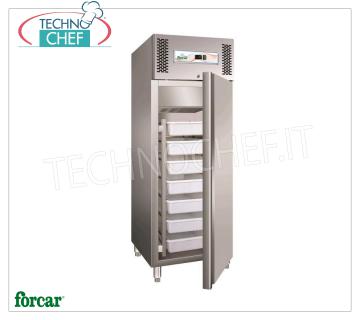Forcar - Armario Frigorífico para Pescado Fresco, lt.507, Estático, Temperatura -5 ° / + 2 ° C, Clase D, modelo G-GN600FISH