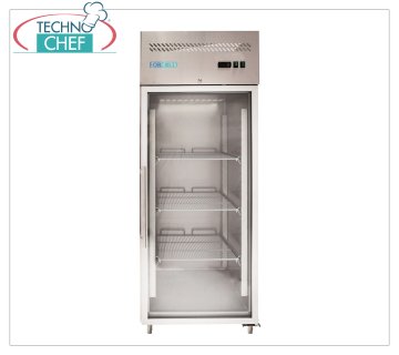 Forcold - Armario Congelador 1 puerta de cristal, Ventilado, Temp.-18°/-22°C, con Monobloc, sistema enchufable, lt.650, Clase E, mod.M-GN650BTG-FC
